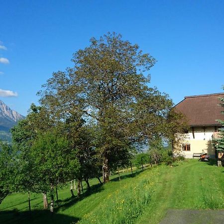 Chalets Alpin Kronhof Kotschach-Mauthen Zewnętrze zdjęcie